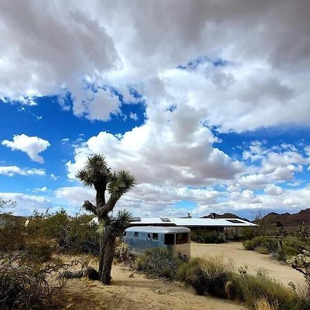 Steph'S Panorama Paradise-Nat'L Park Minutes Away Joshua Tree Eksteriør billede