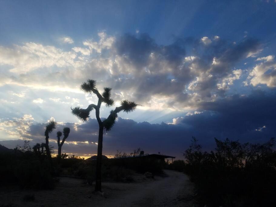Steph'S Panorama Paradise-Nat'L Park Minutes Away Joshua Tree Eksteriør billede