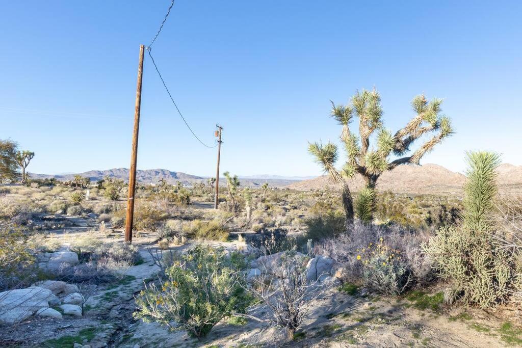 Steph'S Panorama Paradise-Nat'L Park Minutes Away Joshua Tree Eksteriør billede