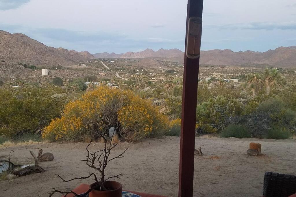 Steph'S Panorama Paradise-Nat'L Park Minutes Away Joshua Tree Eksteriør billede