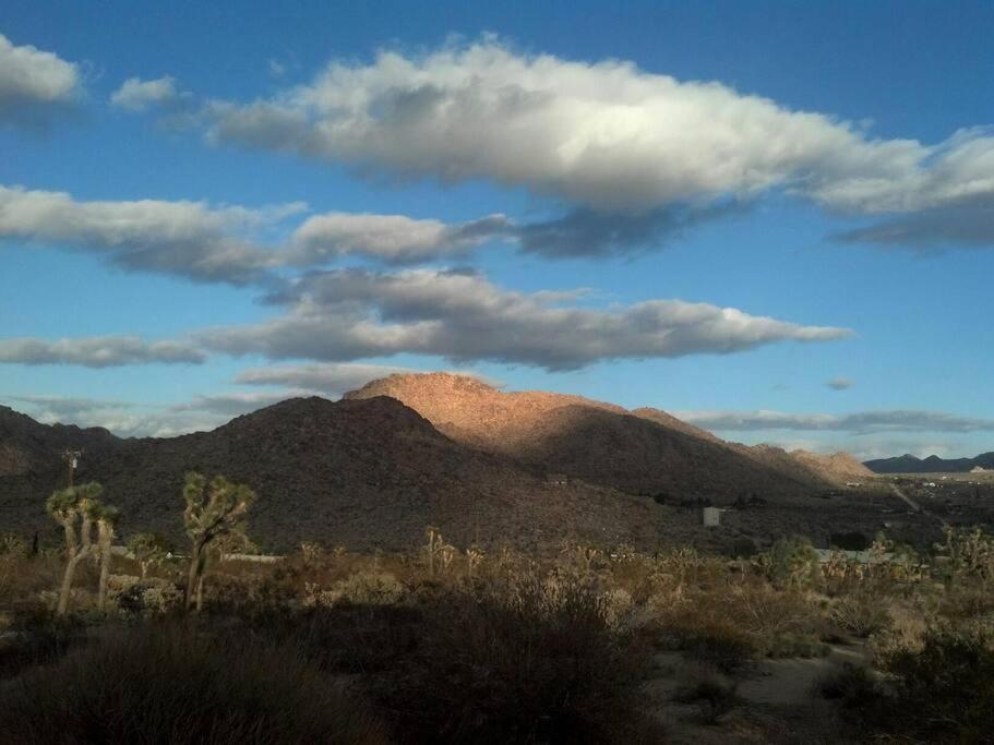 Steph'S Panorama Paradise-Nat'L Park Minutes Away Joshua Tree Eksteriør billede