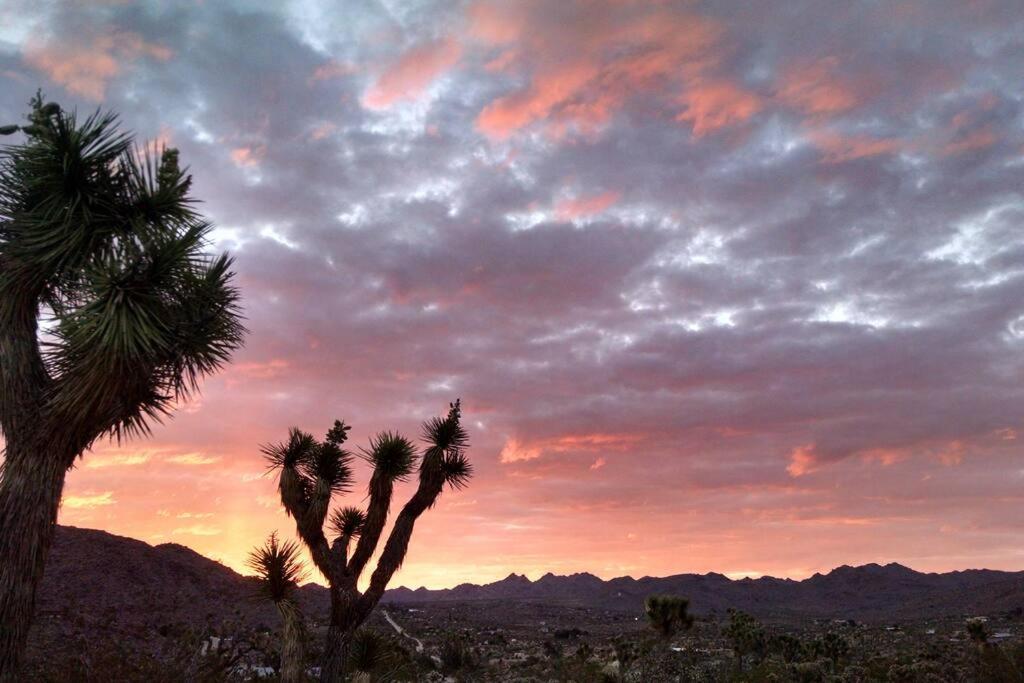 Steph'S Panorama Paradise-Nat'L Park Minutes Away Joshua Tree Eksteriør billede