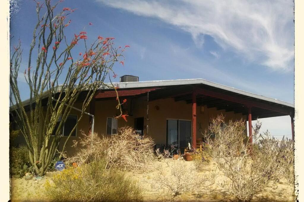 Steph'S Panorama Paradise-Nat'L Park Minutes Away Joshua Tree Eksteriør billede