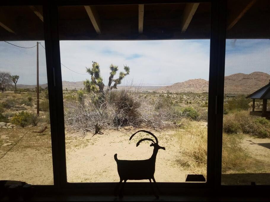 Steph'S Panorama Paradise-Nat'L Park Minutes Away Joshua Tree Eksteriør billede