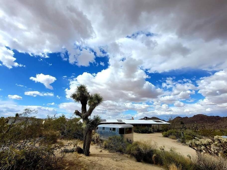 Steph'S Panorama Paradise-Nat'L Park Minutes Away Joshua Tree Eksteriør billede
